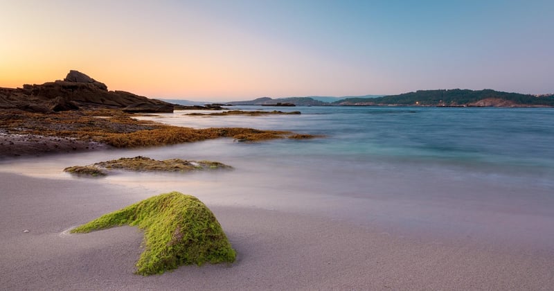 12 Simple Mindfulness Techniques for Beginners to Find Calm