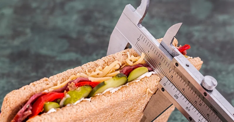 Plant-based protein for weight loss