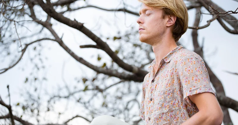 What are the 7 pillars of mindfulness?